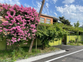 Green Corner